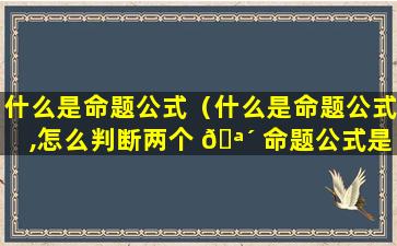 什么是命题公式（什么是命题公式,怎么判断两个 🪴 命题公式是等价的）